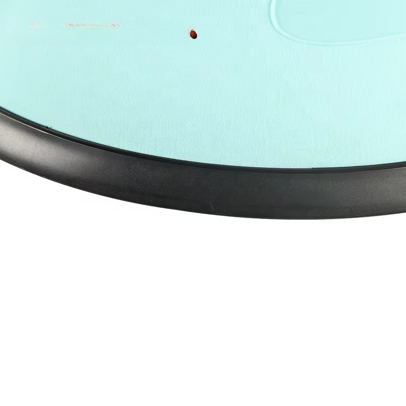 Logo PVC balansbal met weersta - Pilates Yoga Ball Workout recensie en prijs